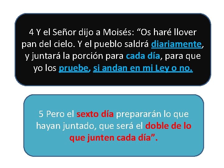 4 Y el Señor dijo a Moisés: “Os haré llover pan del cielo. Y