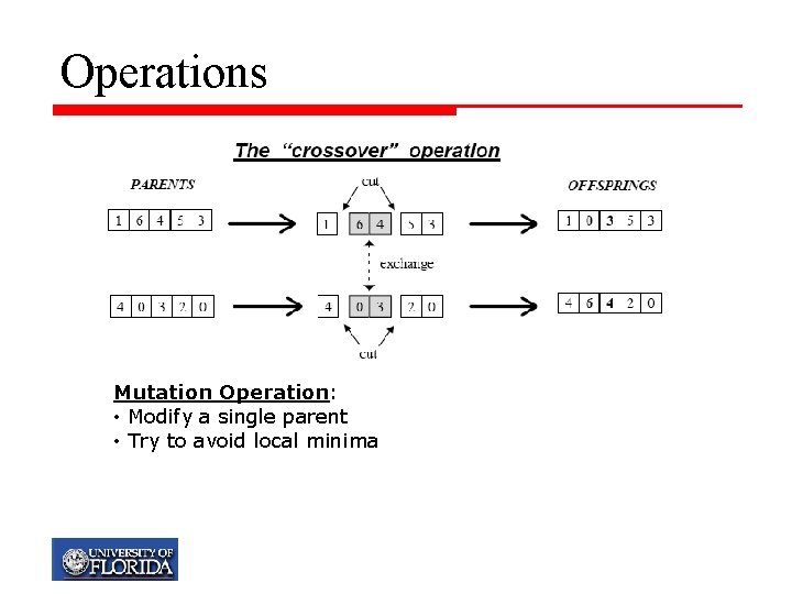 Operations Mutation Operation: • Modify a single parent • Try to avoid local minima