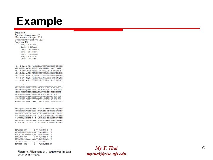 Example My T. Thai mythai@cise. ufl. edu 86 