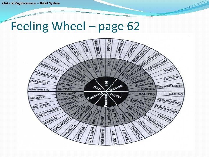 Oaks of Righteousness – Belief System Feeling Wheel – page 62 