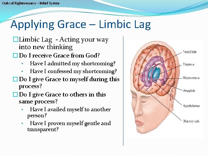 Oaks of Righteousness – Belief System Applying Grace – Limbic Lag �Limbic Lag -