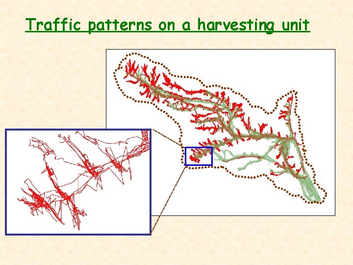 Traffic patterns on a harvesting unit Feller buncher traffic Skidder- traffic - 