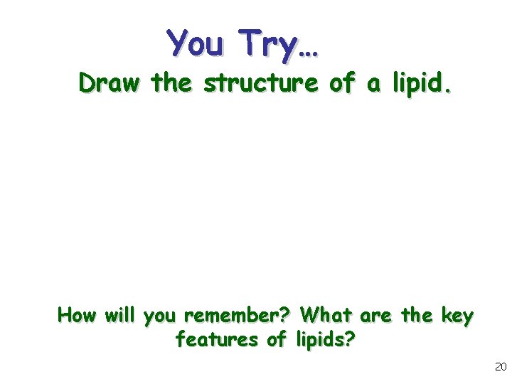 You Try… Draw the structure of a lipid. How will you remember? What are