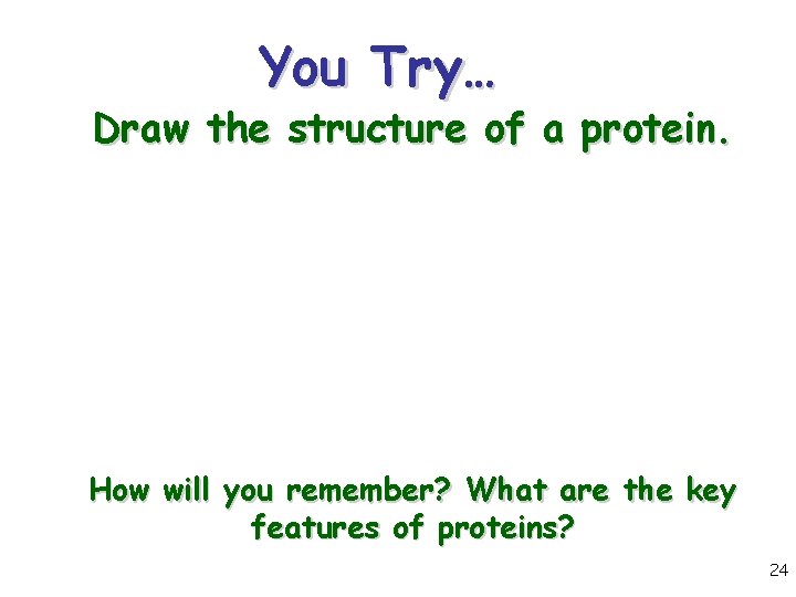 You Try… Draw the structure of a protein. How will you remember? What are