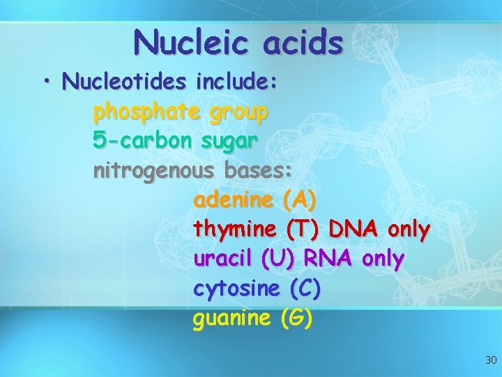 Nucleic acids • Nucleotides include: phosphate group 5 -carbon sugar nitrogenous bases: adenine (A)