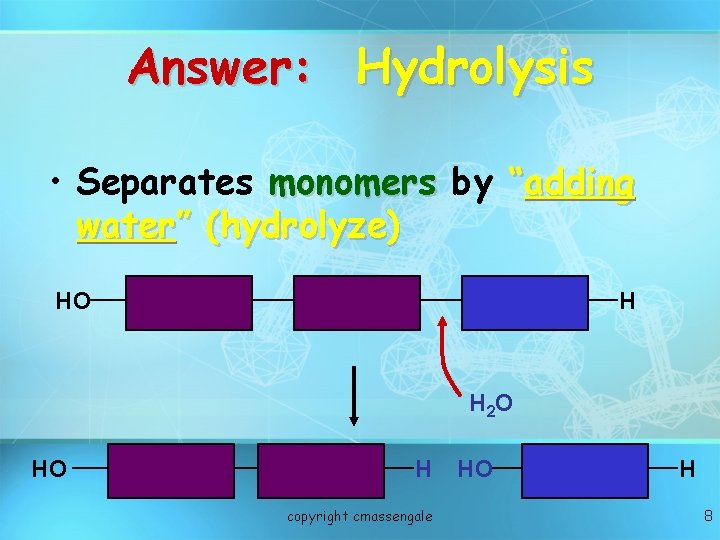 Answer: Hydrolysis • Separates monomers by “adding water” (hydrolyze) HO H H 2 O