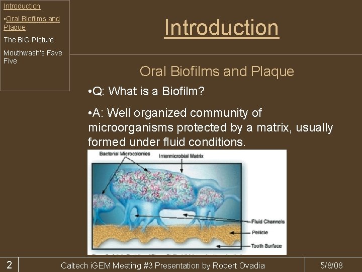 Introduction • Oral Biofilms and Plaque Introduction The BIG Picture Mouthwash’s Fave Five Oral