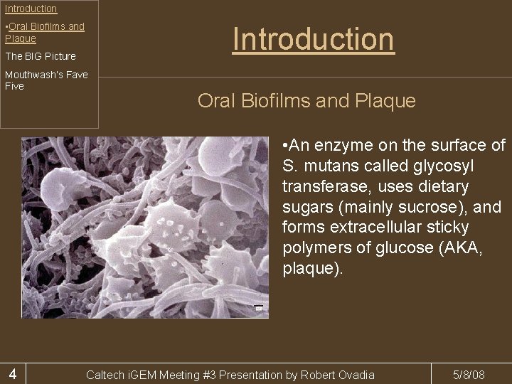 Introduction • Oral Biofilms and Plaque Introduction The BIG Picture Mouthwash’s Fave Five Oral
