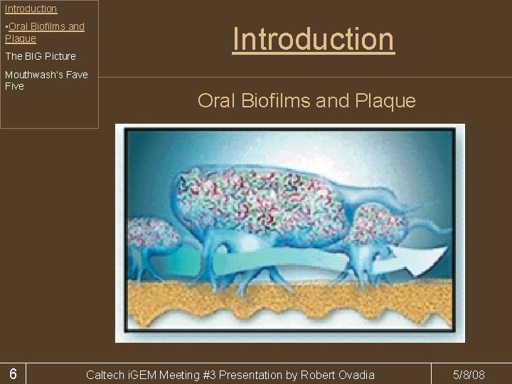 Introduction • Oral Biofilms and Plaque Introduction The BIG Picture Mouthwash’s Fave Five 6