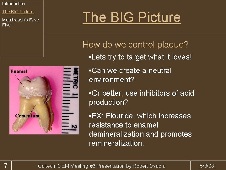 Introduction The BIG Picture Mouthwash’s Fave Five The BIG Picture How do we control