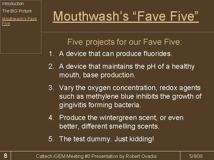 Introduction The BIG Picture Mouthwash’s Fave Five Mouthwash’s “Fave Five” Five projects for our