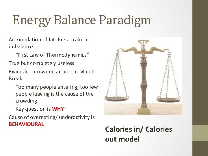 Energy Balance Paradigm Accumulation of fat due to caloric imbalance “First Law of Thermodynamics”