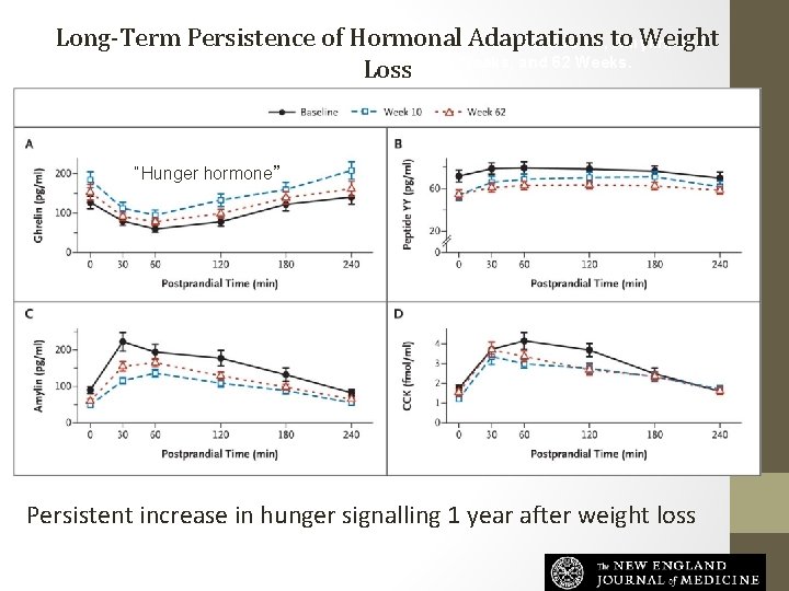 Long-Term Persistence of Hormonal Adaptations Weight Mean (±SE) Fasting and Postprandial Levels of Ghrelin,