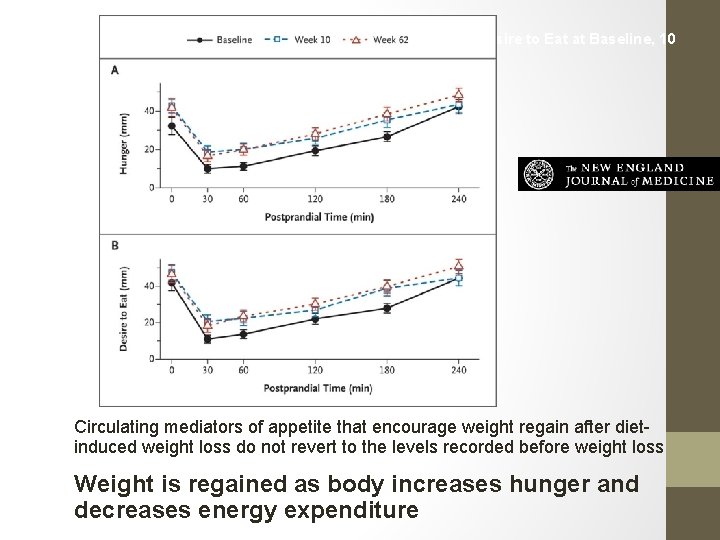 Mean (±SE) Fasting and Postprandial Ratings of Hunger and Desire to Eat at Baseline,