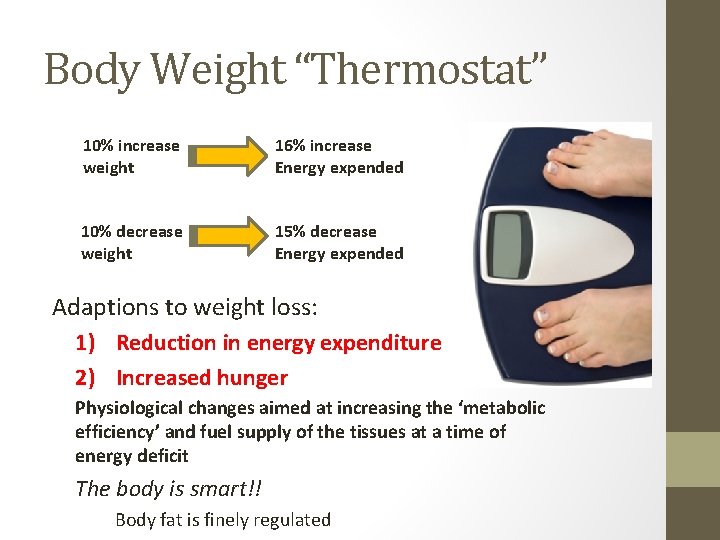 Body Weight “Thermostat” 10% increase weight 16% increase Energy expended 10% decrease weight 15%