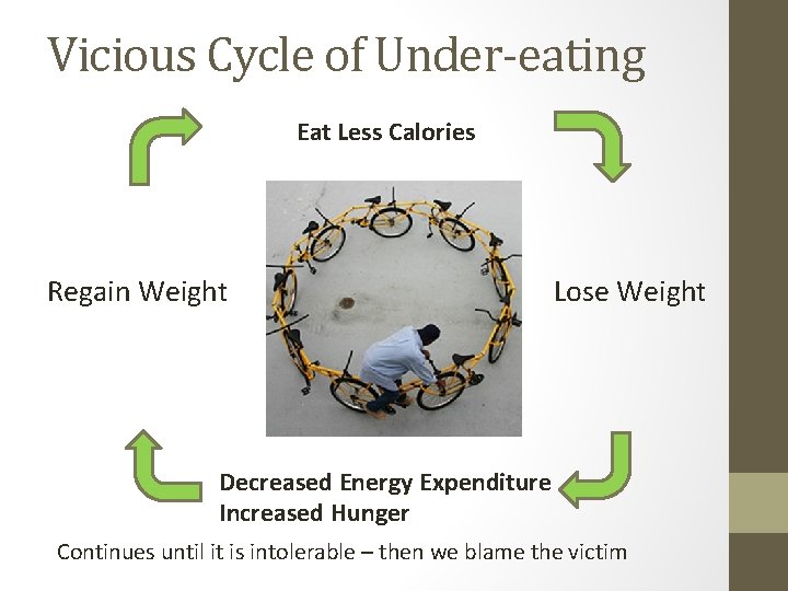 Vicious Cycle of Under-eating Eat Less Calories Regain Weight Lose Weight Decreased Energy Expenditure