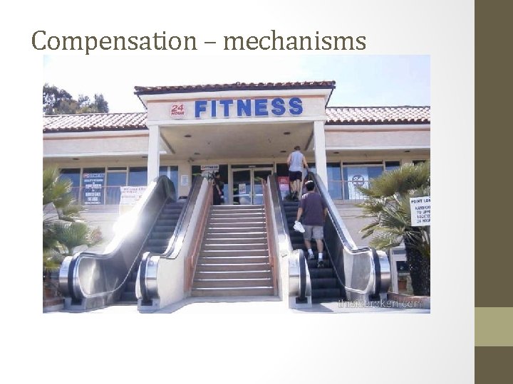 Compensation – mechanisms 