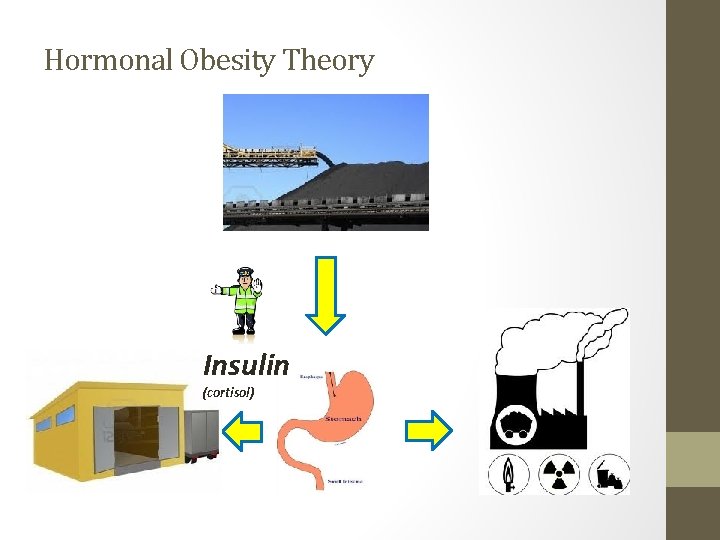 Hormonal Obesity Theory Insulin (cortisol) 