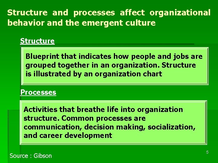 Structure and processes affect organizational behavior and the emergent culture Structure Blueprint that indicates