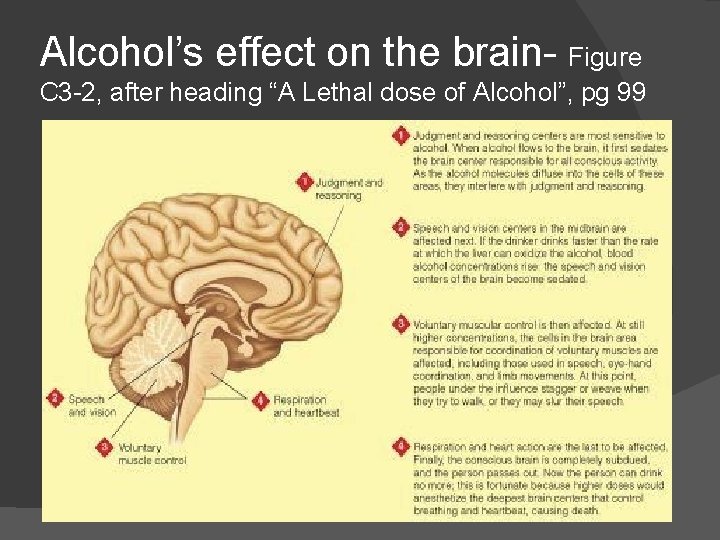 Alcohol’s effect on the brain- Figure C 3 -2, after heading “A Lethal dose