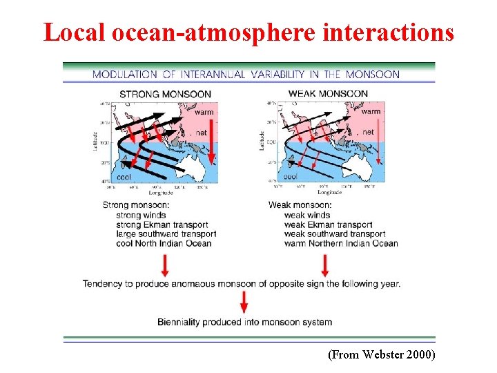 Local ocean-atmosphere interactions (From Webster 2000) 