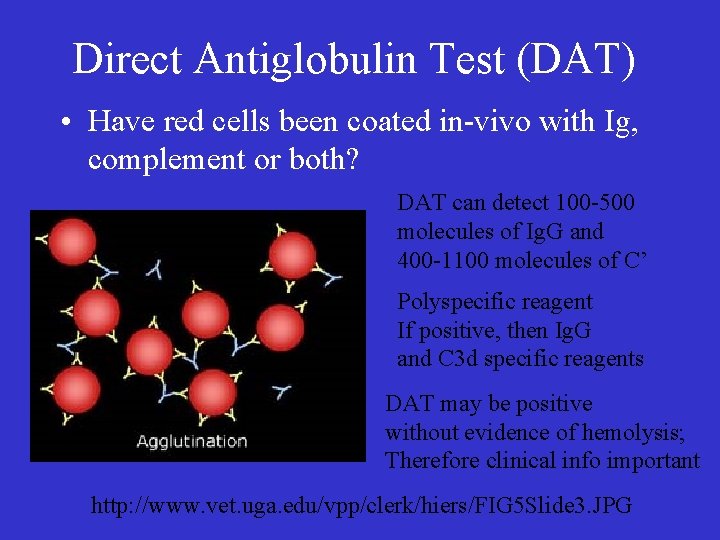 Direct Antiglobulin Test (DAT) • Have red cells been coated in-vivo with Ig, complement