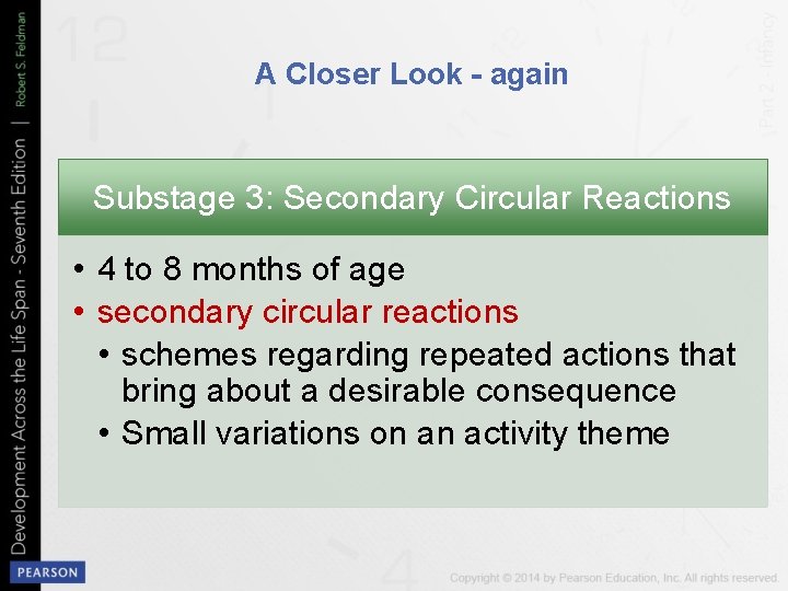 A Closer Look - again Substage 3: Secondary Circular Reactions • 4 to 8