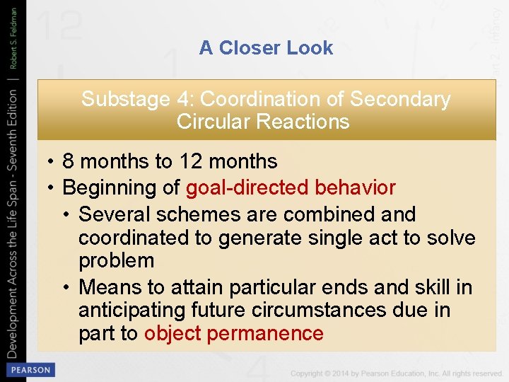 A Closer Look Substage 4: Coordination of Secondary Circular Reactions • 8 months to