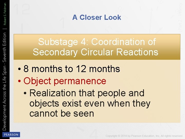 A Closer Look Substage 4: Coordination of Secondary Circular Reactions • 8 months to