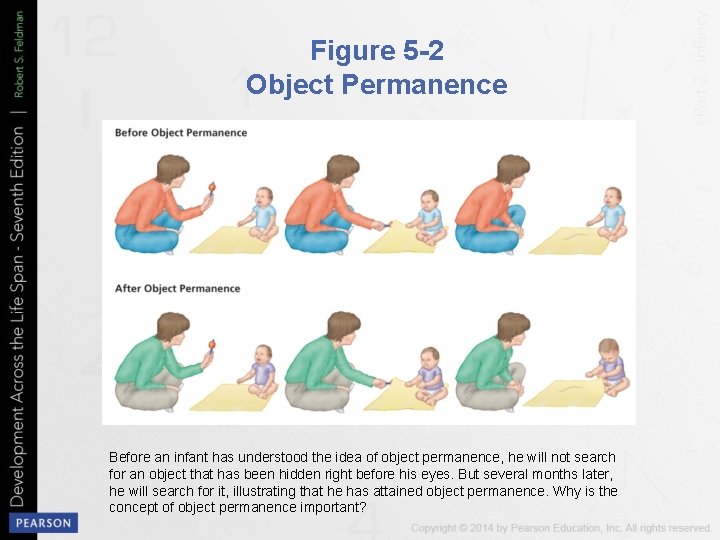 Figure 5 -2 Object Permanence Before an infant has understood the idea of object