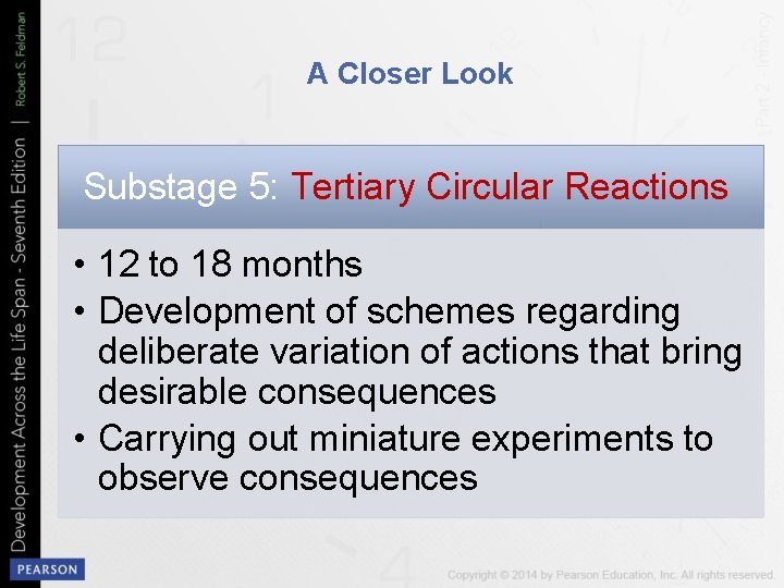 A Closer Look Substage 5: Tertiary Circular Reactions • 12 to 18 months •