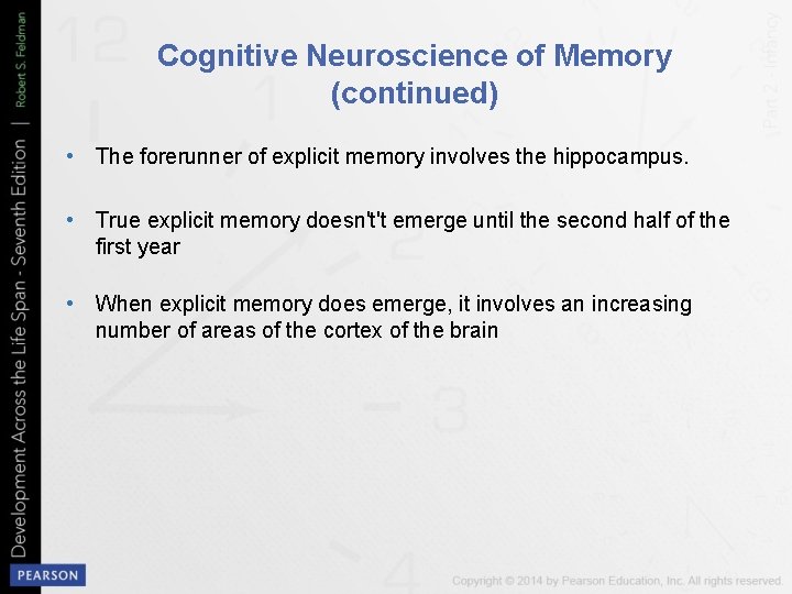 Cognitive Neuroscience of Memory (continued) • The forerunner of explicit memory involves the hippocampus.