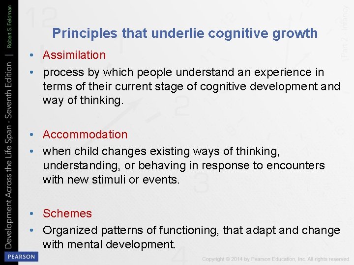 Principles that underlie cognitive growth • Assimilation • process by which people understand an