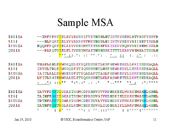 Sample MSA Jan 19, 2010 © UKK, Bioinformatics Centre, Uo. P 11 