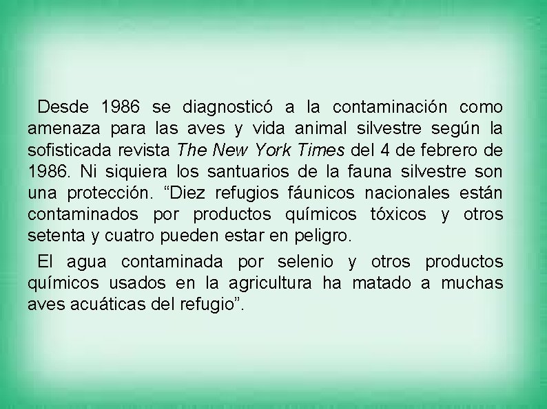 Desde 1986 se diagnosticó a la contaminación como amenaza para las aves y vida