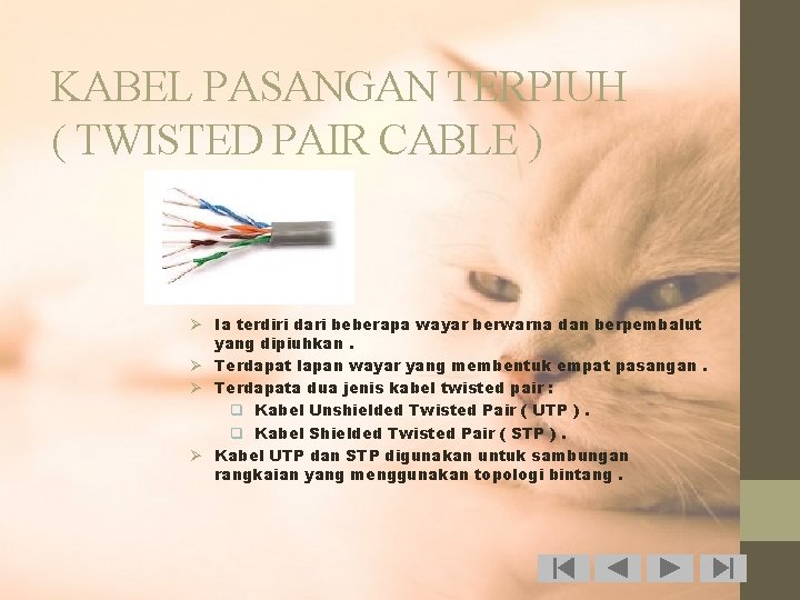 KABEL PASANGAN TERPIUH ( TWISTED PAIR CABLE ) Ø Ia terdiri dari beberapa wayar