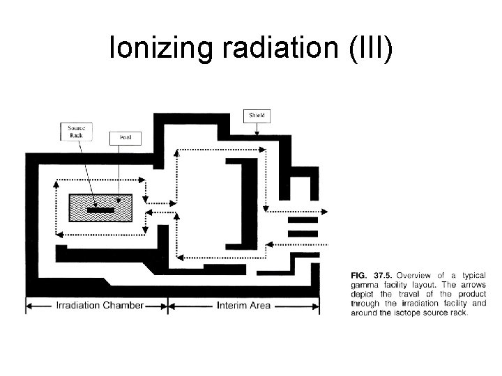 Ionizing radiation (III) 