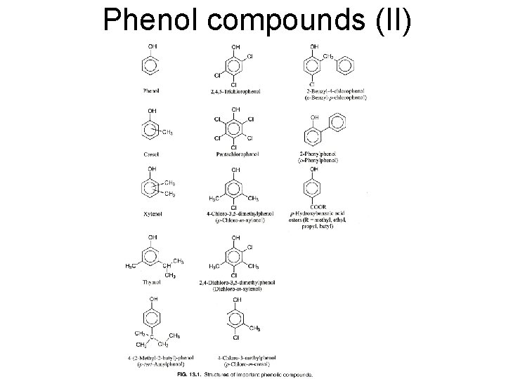 Phenol compounds (II) 