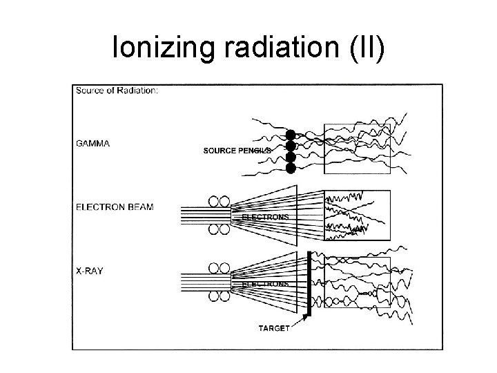 Ionizing radiation (II) 