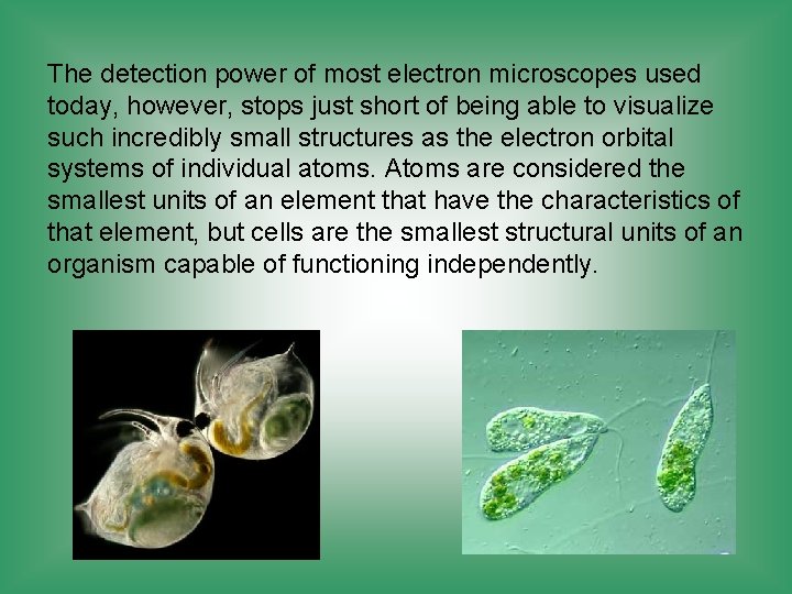 The detection power of most electron microscopes used today, however, stops just short of The detection power of most electron microscopes used today, however, stops just short of