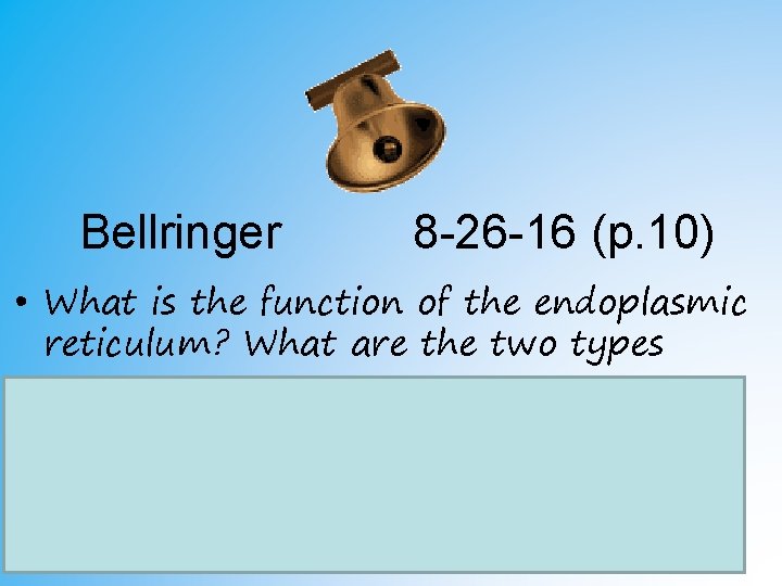 Bellringer 8 -26 -16 (p. 10) • What is the function of the endoplasmic Bellringer 8 -26 -16 (p. 10) • What is the function of the endoplasmic