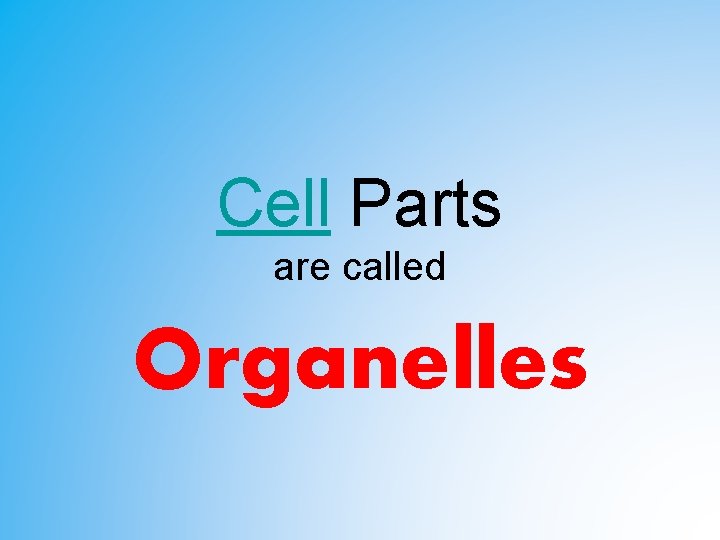Cell Parts are called Organelles Cell Parts are called Organelles