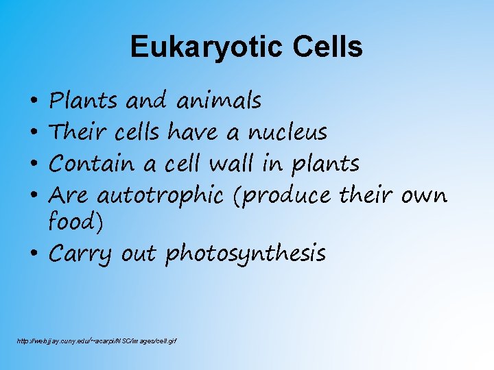 Eukaryotic Cells • • Plants and animals Their cells have a nucleus Contain a Eukaryotic Cells • • Plants and animals Their cells have a nucleus Contain a
