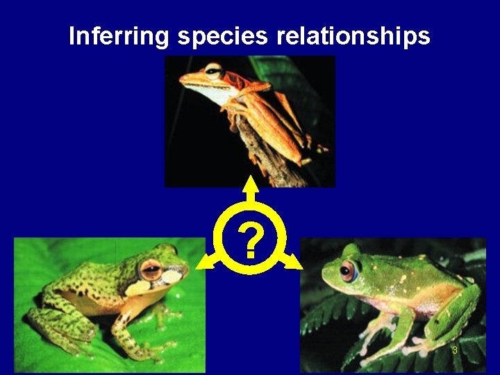 Inferring species relationships ? 3 