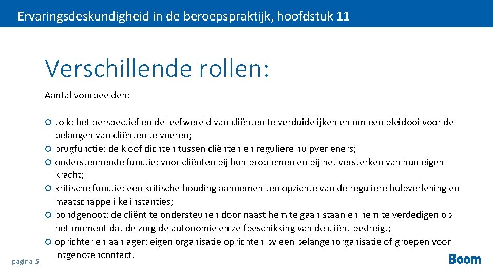 Ervaringsdeskundigheid in de beroepspraktijk, hoofdstuk 11 Verschillende rollen: Aantal voorbeelden: tolk: het perspectief en