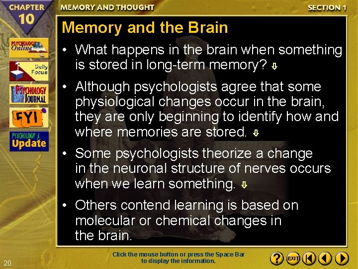 Memory and the Brain • What happens in the brain when something is stored