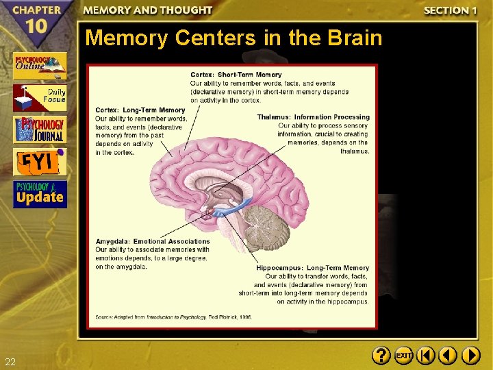 Memory Centers in the Brain 22 