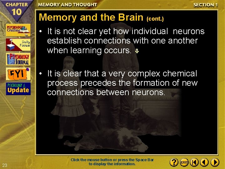 Memory and the Brain (cont. ) • It is not clear yet how individual