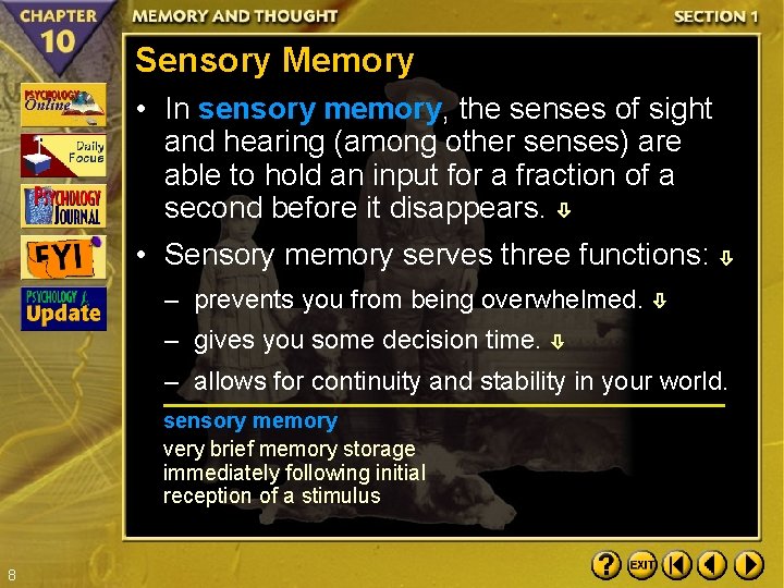 Sensory Memory • In sensory memory, the senses of sight and hearing (among other