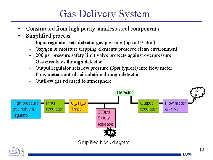 Gas Delivery System • Constructed from high purity stainless steel components • Simplified process: